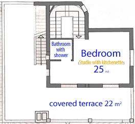 plan estudio